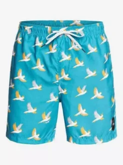 Short Hombre Marca Quiksilver